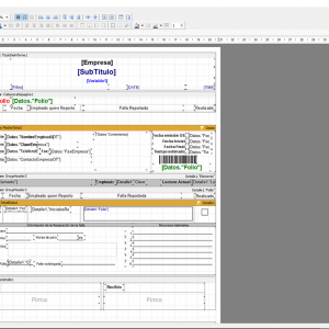 SoftMant, diseñador personalizado de reportes